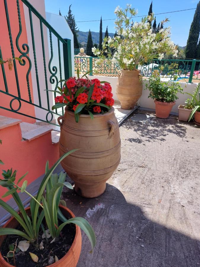 Maria Studios Palaiokastritsa Exterior foto